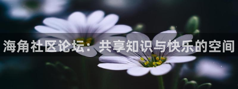 hj社区海角：海角社区论坛：共享知识与快乐的空间