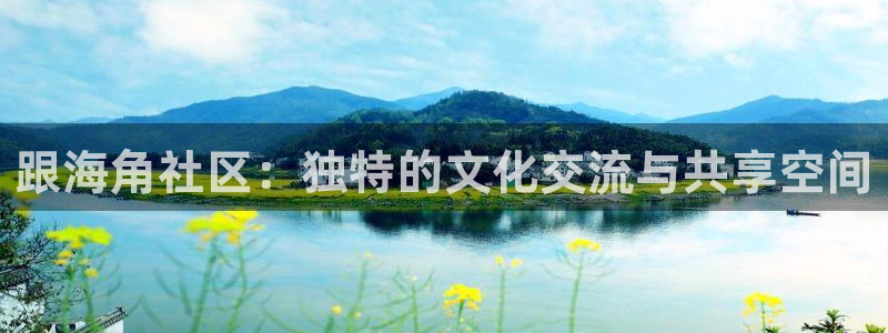 海角社区忘记密码：跟海角社区：独特的文化交流与共享空间