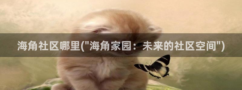 海角社区集结号：海角社区哪里(\