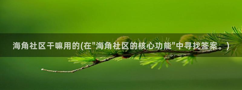 海角社区伦理：海角社区干嘛用的(在\