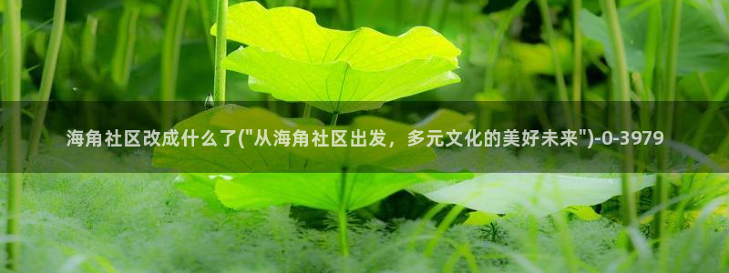 海角社区3400：海角社区改成什么了(\