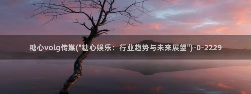 糖心vlog女主：糖心volg传媒(\