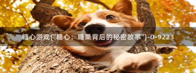 糖心vlog官网入：糖心游戏(\