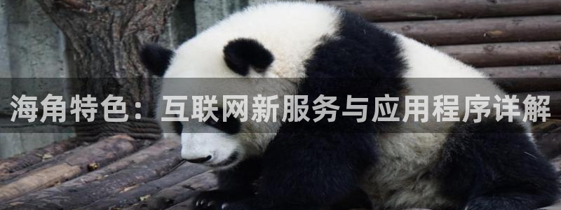 海角社区上的信息真实吗：海角特色：互联网新服务与应用程序详解