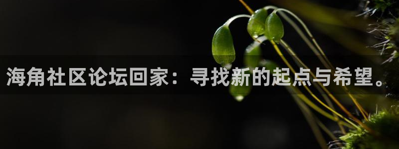 绿意海角社区：海角社区论坛回家：寻找新的起点与希望。
