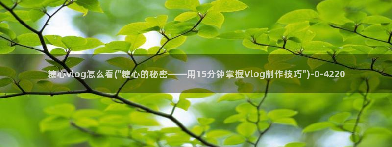糖心vlog app：糖心vlog怎么看(\