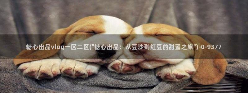 糖心vlog不用下载：糖心出品vlog一区二区(\