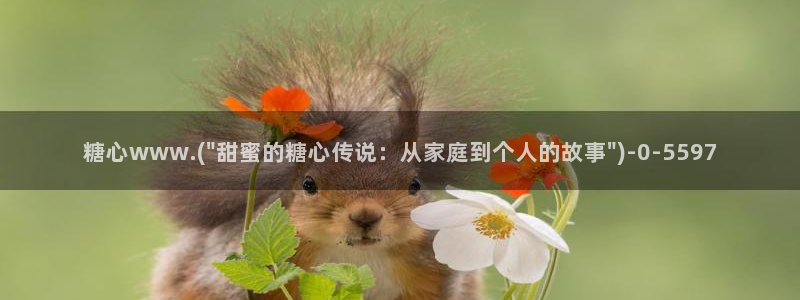 糖心vlog入口网址